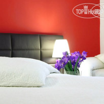 Magnifico Inn 