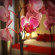 Andrea Doria Resort 
