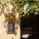 Antico Borgo Di Trastevere 