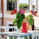 Appia Antica Resort 