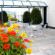 The Spring House Hotel Rome Vatican, Tapestry Collection Hilton 