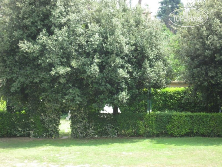 New photos from tourists Darival 3*