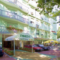 Pineda 
