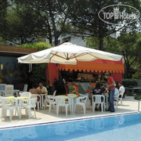 Ariston