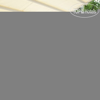 Olympic Терраса