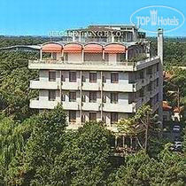 Hotel photo Michelangelo 4*