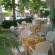 Tres Jolie hotel Cattolica 
