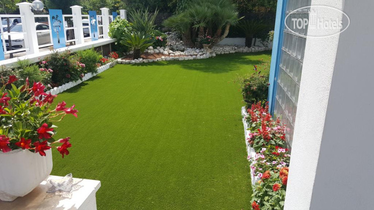 New photos from tourists Le Palme Hotel  3*