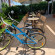 Hotel Mare Azzurro 