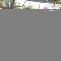 Villa dei D Armiento 