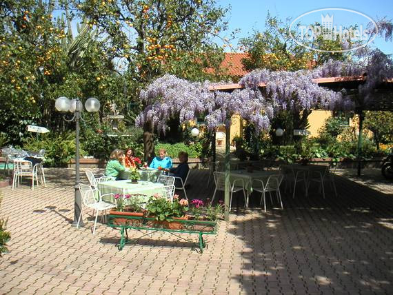 New photos from tourists Girasole 3*