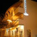 Esperya Apparthotel 