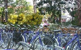 New photos from tourists Mimosa hotel Lignano 3*