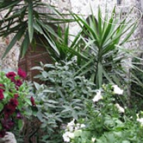 Appartamenti La Meridiana 