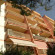 Condominio Tirrenia 