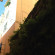 Luciano Guesthouse 