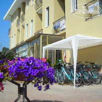 Delle Mimose 