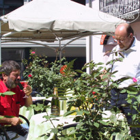 Montfleury hotel Aosta 