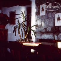 Chalet Joli Courmayeur 