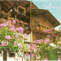 Triolet 