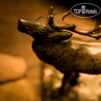 Au Coeur Des Neiges Resort