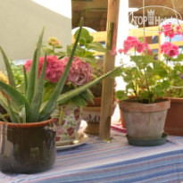Al Mare Di Greis B&B