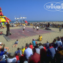 Novella (закрыт) 