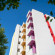 Rainbow Hotel 