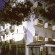 Villa Argia 