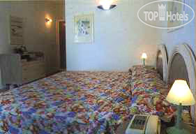 Hotel photo L'Oasi Castiglione 4*