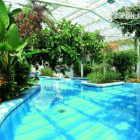 Continental Terme 