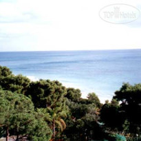 Abamar 