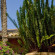 Lucrezia Hotel  
