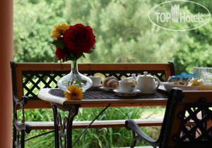 New photos from tourists Pausania Inn 3*