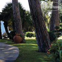 Is Morus Relais