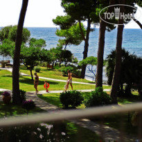 Is Morus Relais