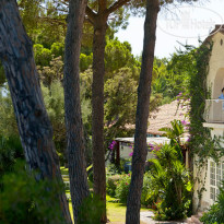 Is Morus Relais