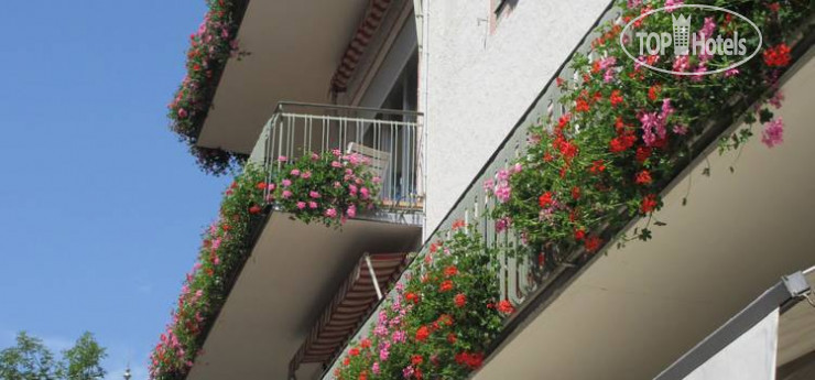 Hotelier's photos Villa Aquila - Adler 3*