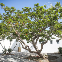 Mari del Sud Resort & Village