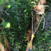 Valle Del Tortorone Agriturismo  