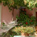 Villa Felicia 