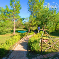 Terra Di Pace Agriturismo Bioecologico