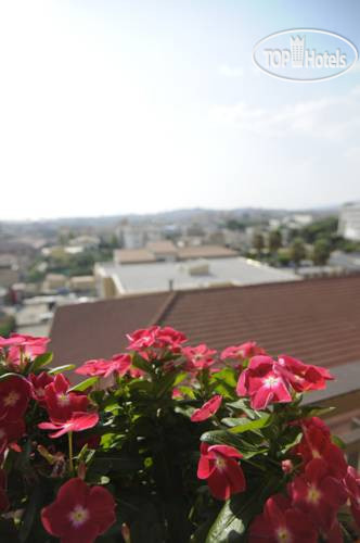 Casa Fiorita Bed And Breakfast