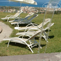 Il Parco Degli Ulivi