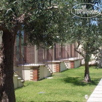 Il Parco Degli Ulivi