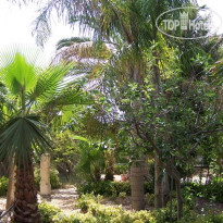 Montesole Holiday Bed & Breakfast 