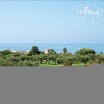 Torre Del Barone