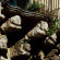 Grana Barocco Art Hotel & Spa 