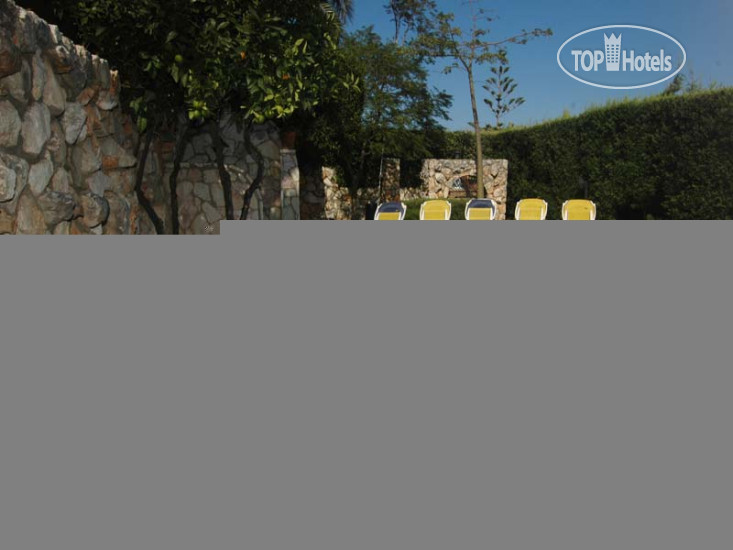 New photos from tourists Villa Patrizia Melograno APT