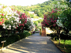 Hotel photo Villaggio Hotel Club Calanovellamare 3*